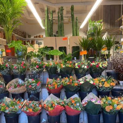 Plantenbeurs Hogendorplaan