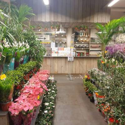 Plantenbeurs Hogendorplaan